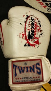 Twins BGVL-4